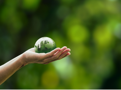 서울시 에코마일리지 vs 탄소중립포인트 제도 차이점 완벽 비교