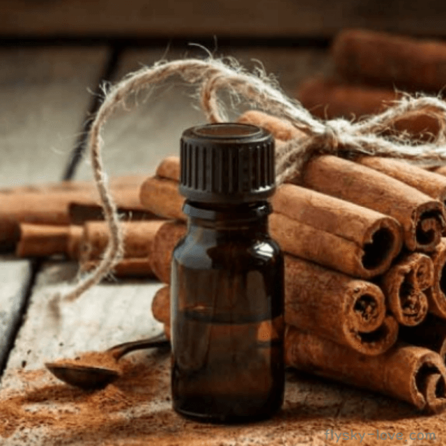 시나몬 (Cinnamon), 시나몬 오일