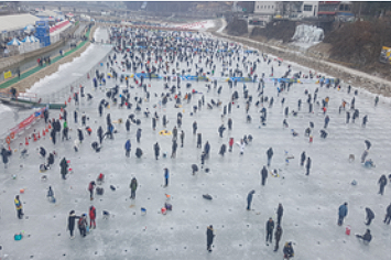 홍천강 꽁꽁축제 인삼 송어낚시 체험