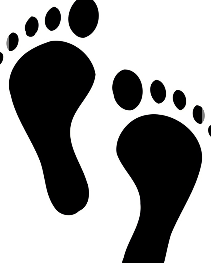 평발슬리퍼에 대한 이해