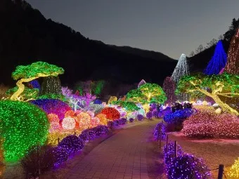 아침고요수목원 입장료 근처 맛집 펜션 추천_9