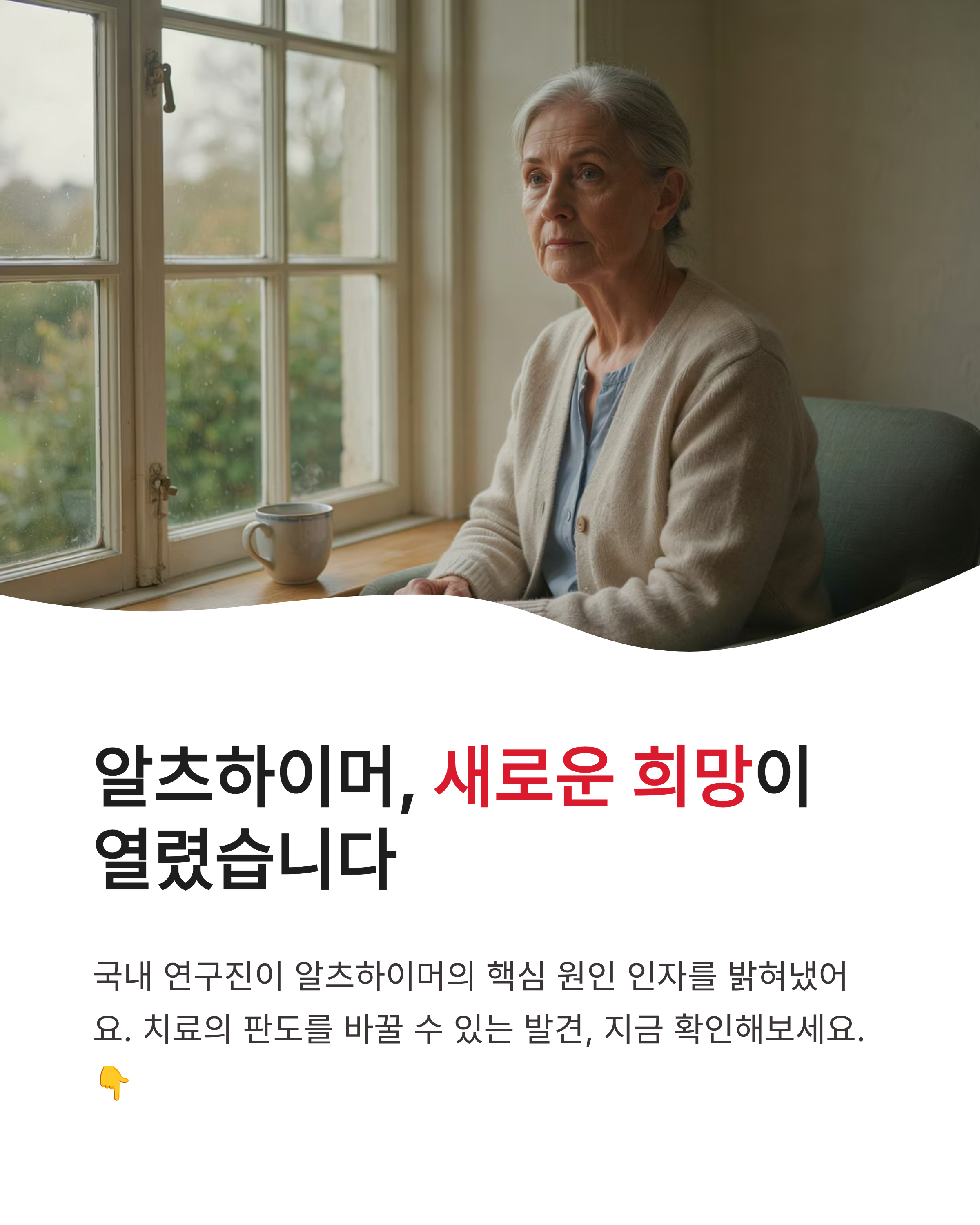 알츠하이머원인 치료제 증상완벽정리!국내 연구진이밝힌 새로운 희망