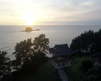 서천 홍원항 자연산 전어 꽃게 축제10