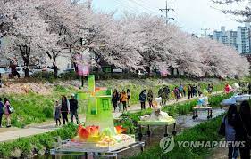 궁거랑 벚꽃축제 기본일정과 프로그램 및 초대가수 소개 (요요미 출연)