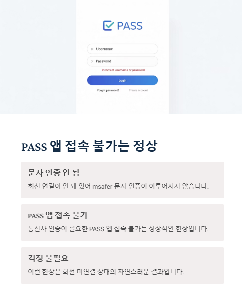 패스 앱 접속 불가는 정상