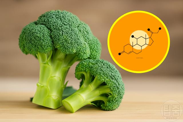 중년뱃살 빼기 음식 추천 브로콜리