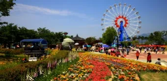 5월 가봐야할 전국 축제 10선 가족 연인 최고 명소_10