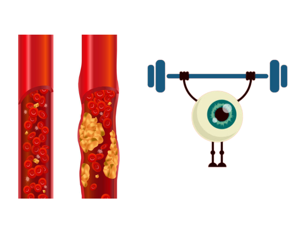 열무 효능2 혈관 건강과 눈 건강