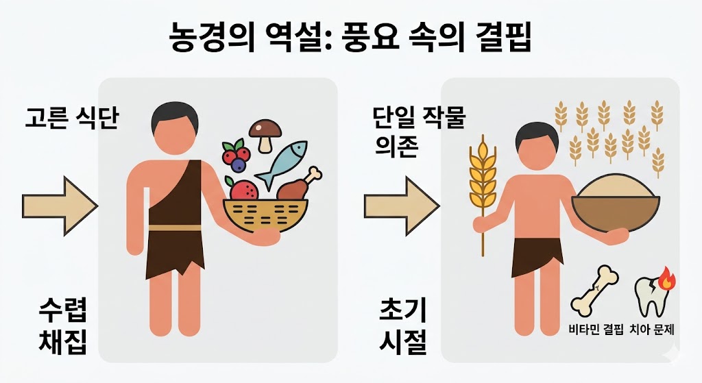다양한 동식물을 섭취하던 수렵 채집 시절의 고른 식단과 곡물 위주인 초기 농경 시절의 단일 식단을 대비한 플랫 디자인 이미지입니다. 영양 불균형으로 인한 비타민 결핍과 치아 문제를 아이콘으로 단순화하여 농경의 역설을 직관적으로 보여줍니다.