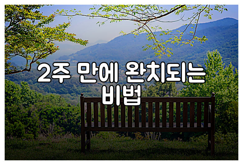 2주 만에 완치되는 비법