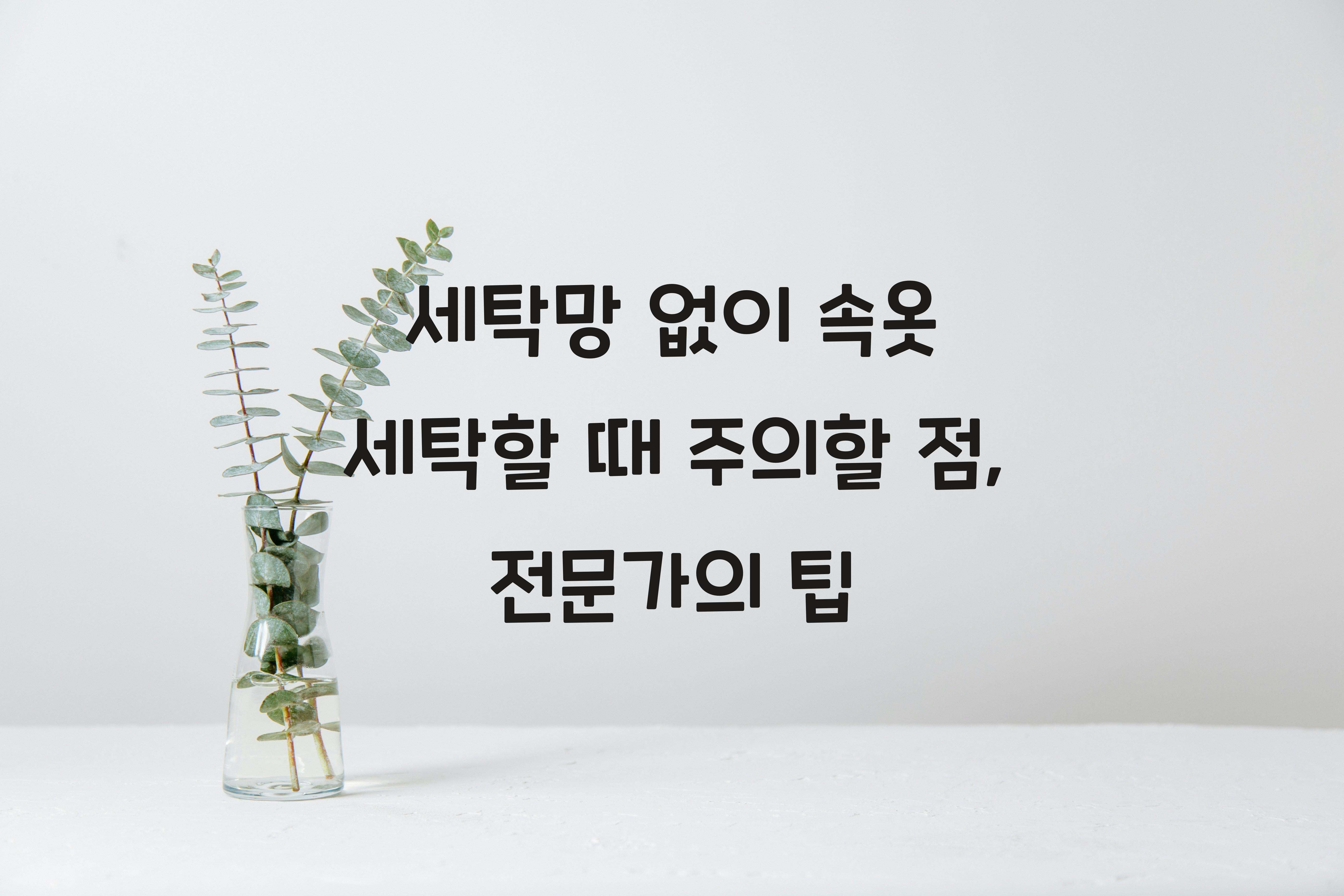 세탁망 없이 속옷 세탁할 때 주의할 점