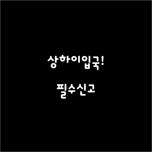 2026년 상하이 전자 입국신고서 작..