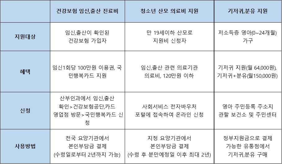 임산부 바우처 국민행복카드 신청방법부터 바우처 사용까지 정리