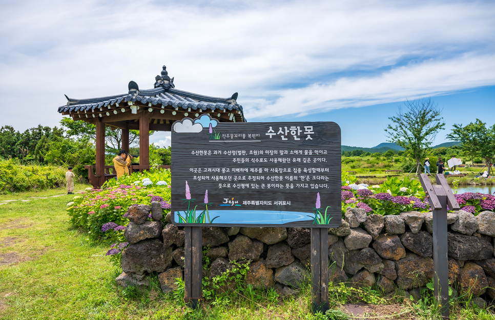 제주 동쪽 가볼만한곳 (수산한못)