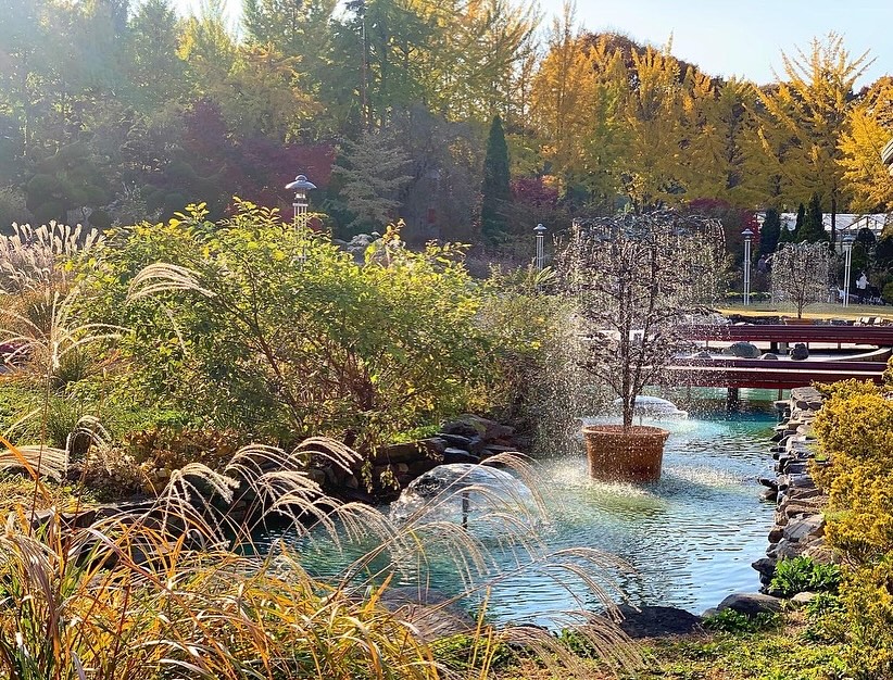 베어트리파크 단풍 축제