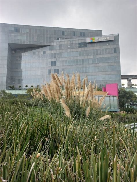 Modern office building with glass façade and greenery, evoking corporate headquarters ambience