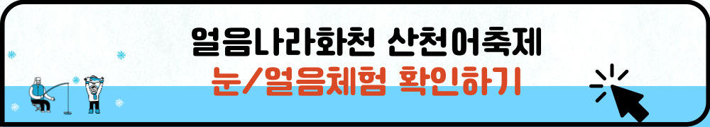 얼음나라화천 산천어축제