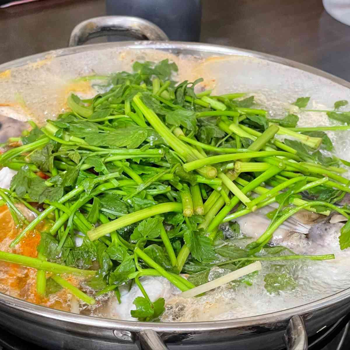 경북 맛집 TOP 5 (싱글벙글복어)