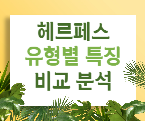 낯선 붉은 딱지, 그게 헤르페스일까? 유형, 증상, 진단, 치료, 예방까지 꼼꼼 정리
