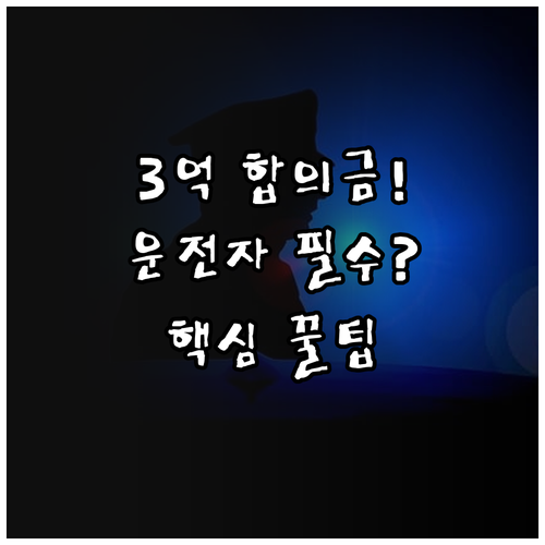 롯데손보 운전자보험 형사합의 지원금 ..