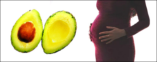 아보카도 한 개와 임신중인 여자