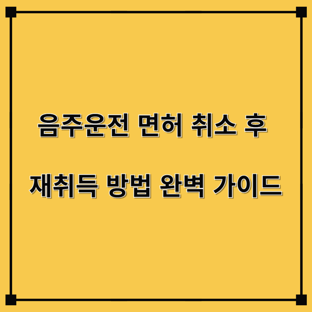 음주운전 면허 취소 후 재취득 방법 완벽 가이드