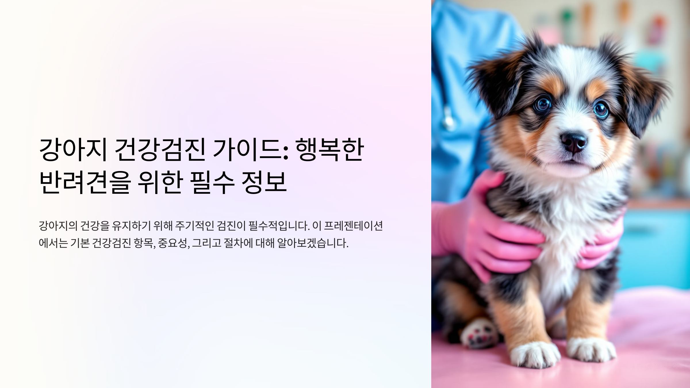 강아지의 기본 건강검진 항목, 중요성과 절차