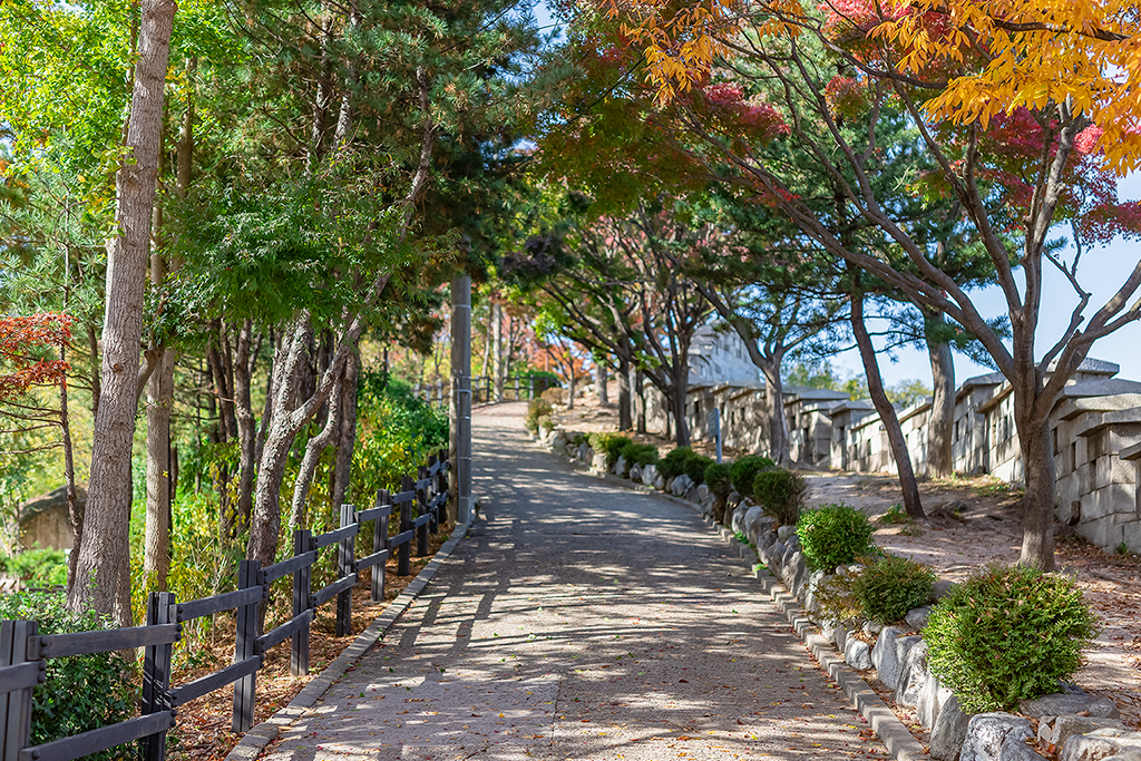 혜화문
성북동
한양도성길
백악구간
서울여행
서울단풍
가을단풍
단풍
