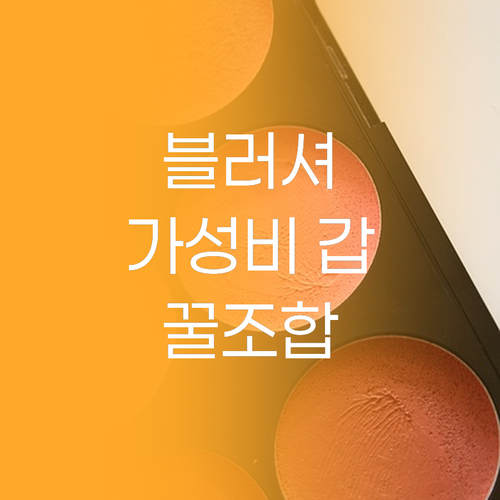 가성비 갑 블러셔 총정리 아케이 vs