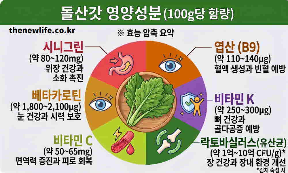돌산갓 효능 영양성분