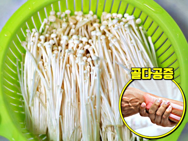 팽이버섯 효능 여성 주부 갱년기 증상 좋은 식품 음식,건강 팁줌
