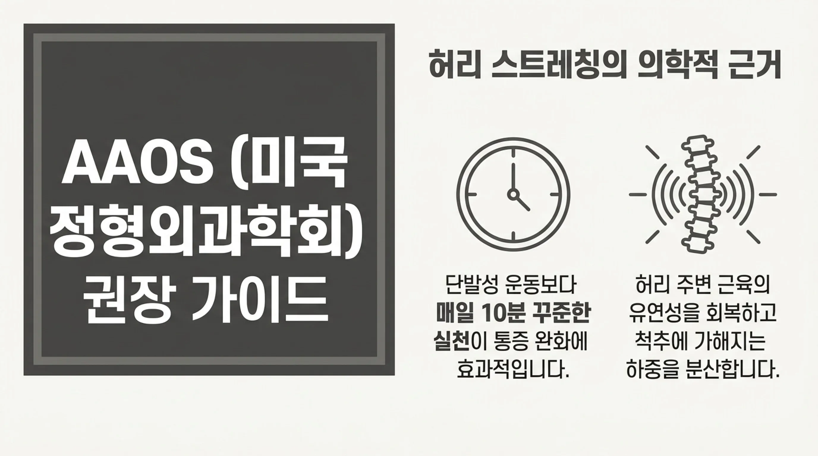 허리 통증 완화에 도움이 될 수 있는 스트레칭 5가지 (아침&middot;취침 전 루틴)