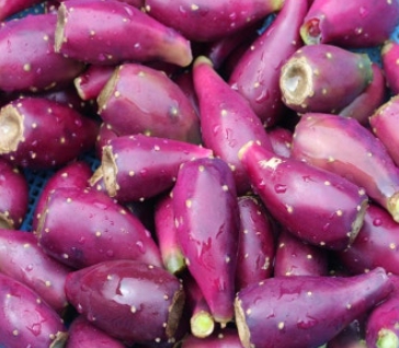 한국의 떡 종류 무지개떡-백련초