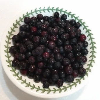 아로니아 먹는 가장 좋은 방법과 생 냉동 분말 활용 팁_9