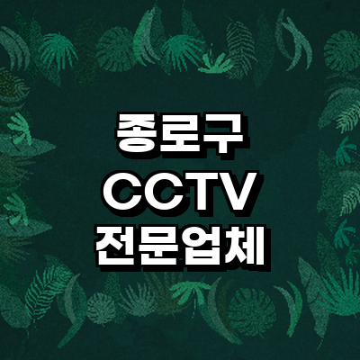 서울 종로구 cctv
