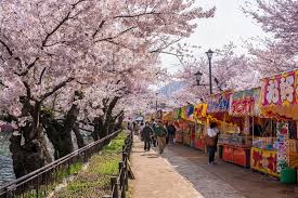 일본 벚꽃여행 명소 추천, 항공권 할인
