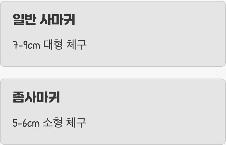 1. 한눈에 봐도 다른 체급, 몸집의 차이