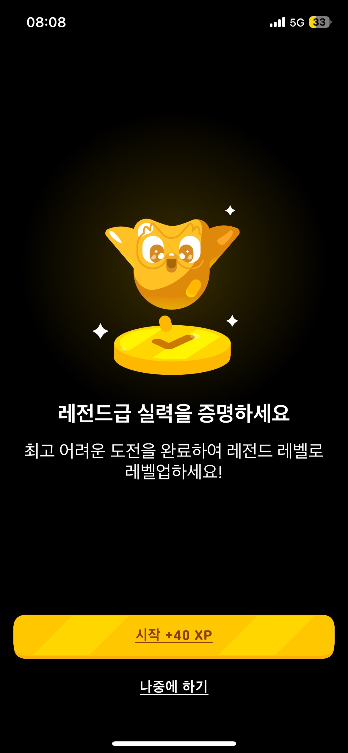duolingo8