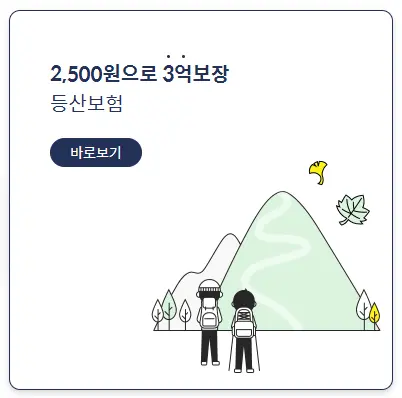 보험 비교