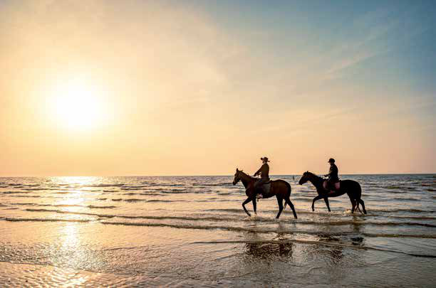 [4월~5월 축제] 고창 1박 2일 감성 여행❘청보리밭 축제, 고창 읍성, 선운사, 구시포해변 승마체험까지