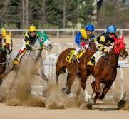 한국마사회 정규직 채용 총정리