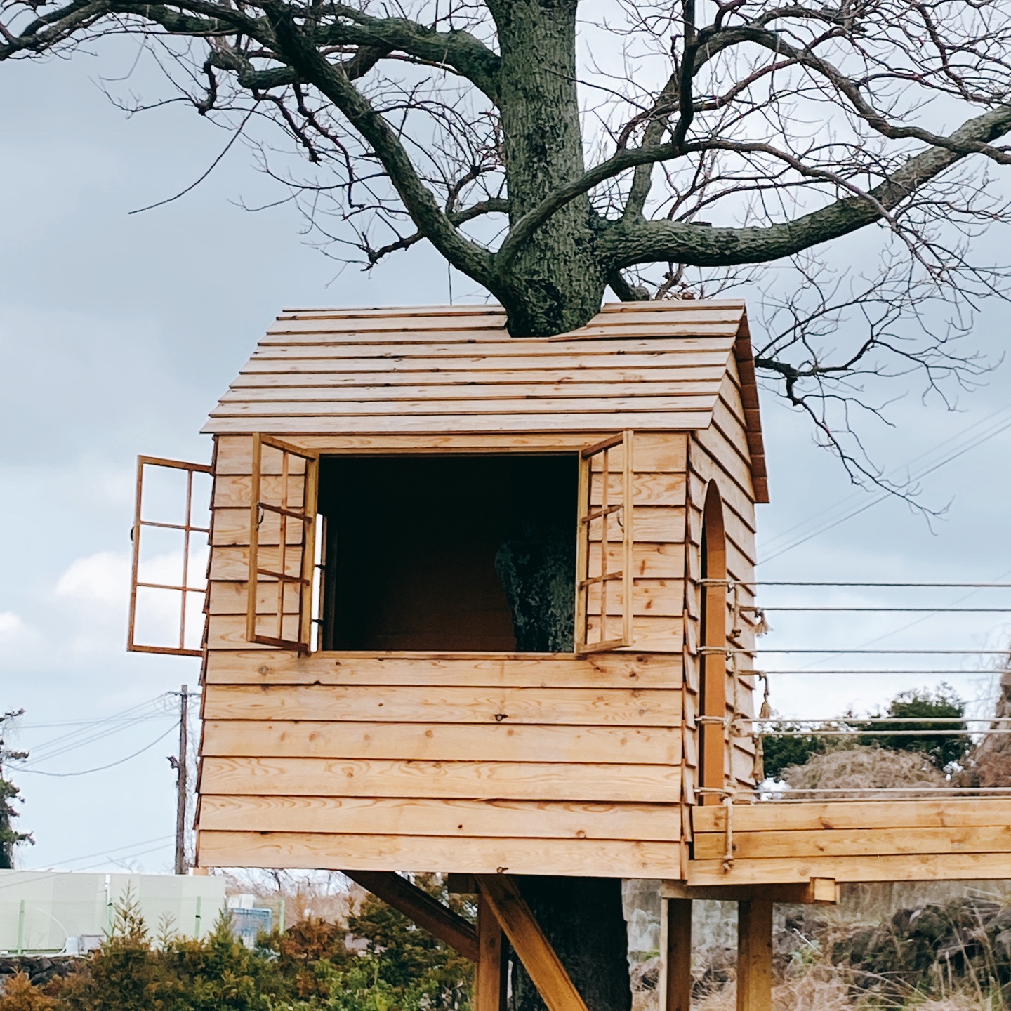 제주 애월 환혼 무수천계곡 트리하우스 웃뜨리 카페