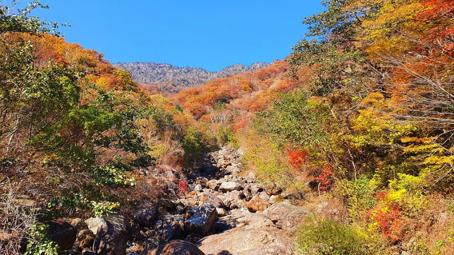 지리산 단풍시기