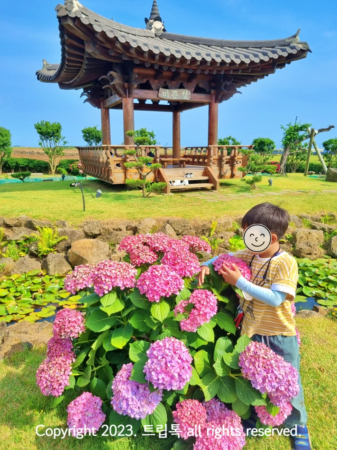 기와 지분의 나무 정자가 있고 그 아래 보라색 수국을 껴안고 있는 노란 옷 있은 아이