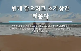 속담 빈대 잡으려고 초가삼간 태운다 의미와 예시_12