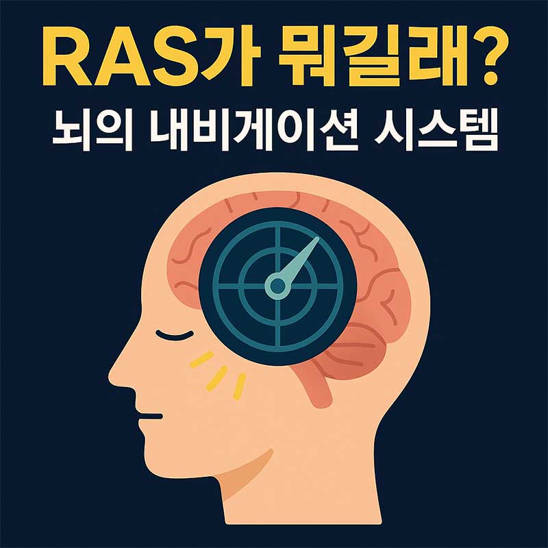 RAS가 뭐길래 뇌의 내비게이션