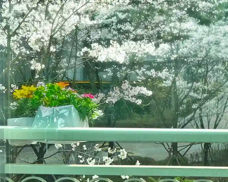 최종 완성 후 베란다에 설치된 꽃 받침대 사진 입니다.