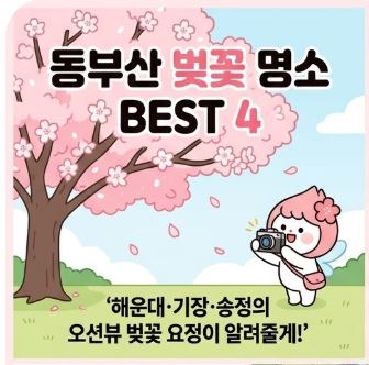 동부산 벚꽃 명소 BEST 4