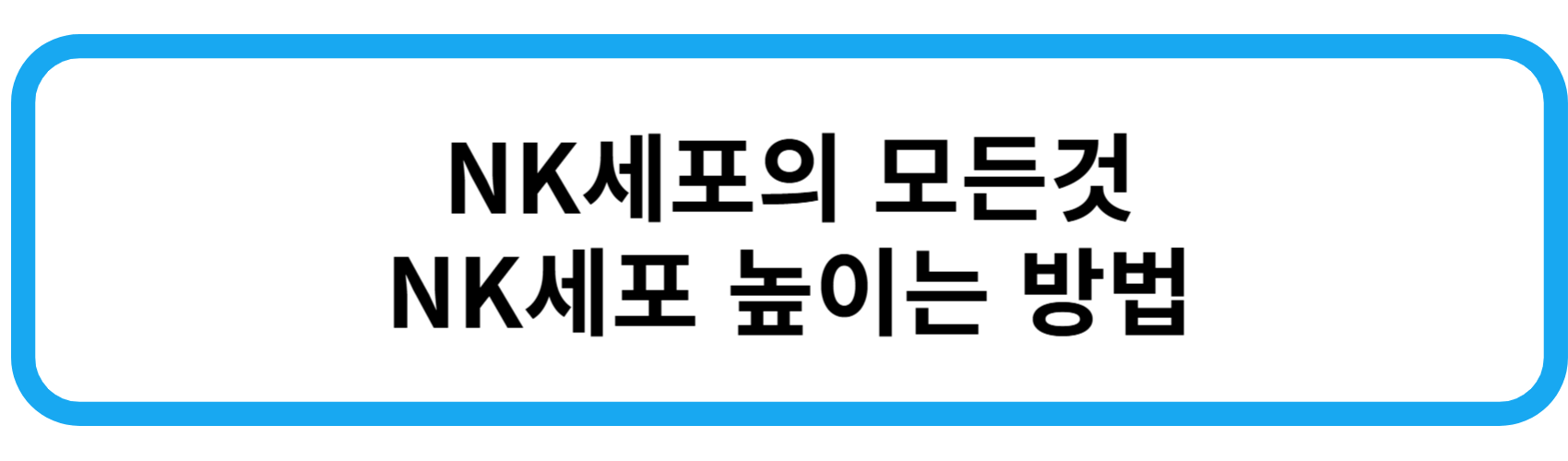 NK세포의 모든것 NK세포 높이는 방법