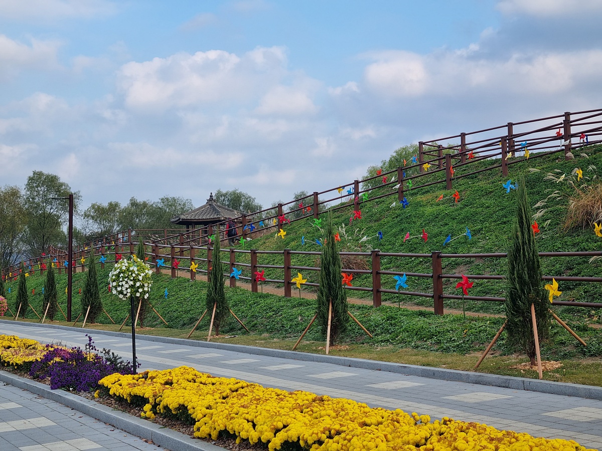 핑크뮬리부터 은행나무길까지&amp;#44; 드림파크 야생화공원 가을 축제와 산책